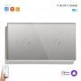 Два умных одиночных WiFi выключателя Terem Techno в одной рамке сенсорные серые Tuya / Smart Life / Digma для Алисы работает как с нулевым проводом так и без него