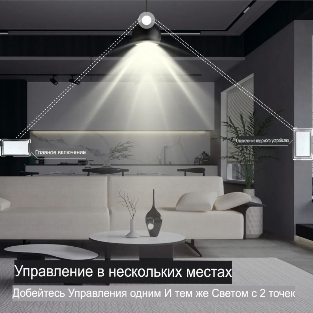 Два умных одиночных WiFi выключателя Terem Techno в одной рамке сенсорные серые Tuya / Smart Life / Digma для Алисы работает как с нулевым проводом так и без него