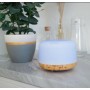 Умный WiFi увлажнитель воздуха Terem Techno аромадиффузор  Tuya / Smart Life / Digma